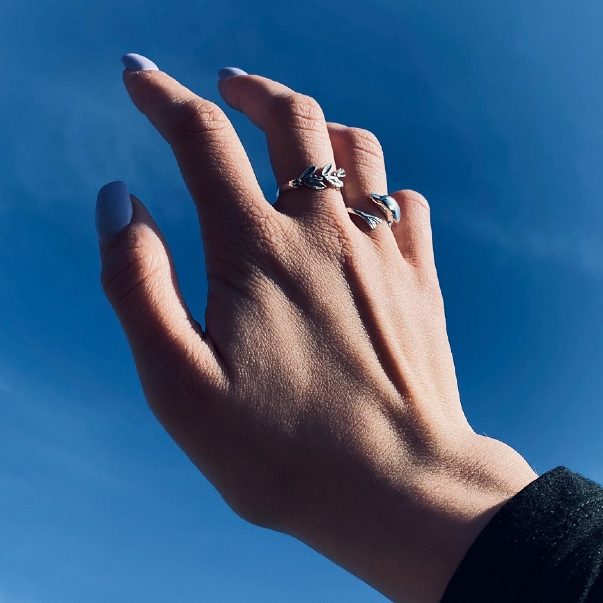 Δαχτυλίδι δελφίνι