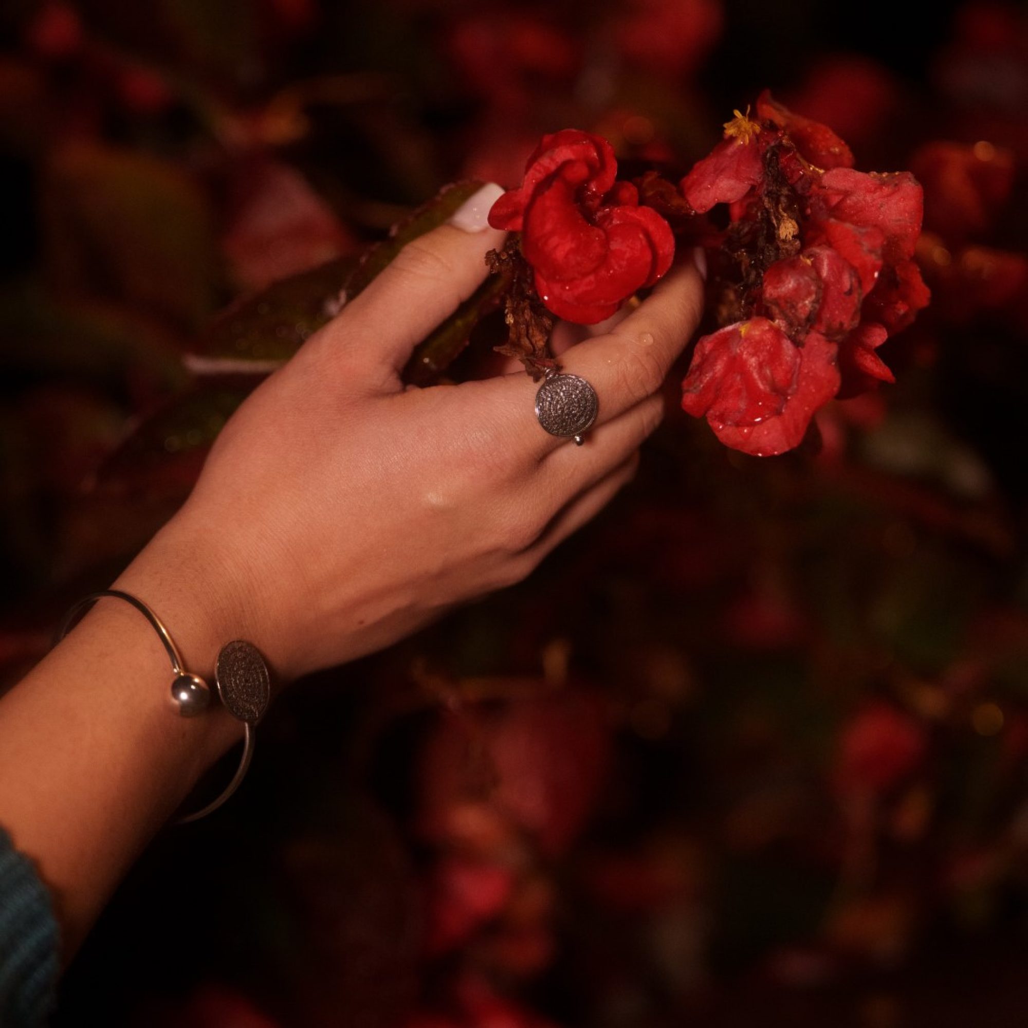 Δαχτυλίδι δίσκος της Φαιστού 