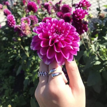 Δαχτυλίδι κλαδί ελιάς