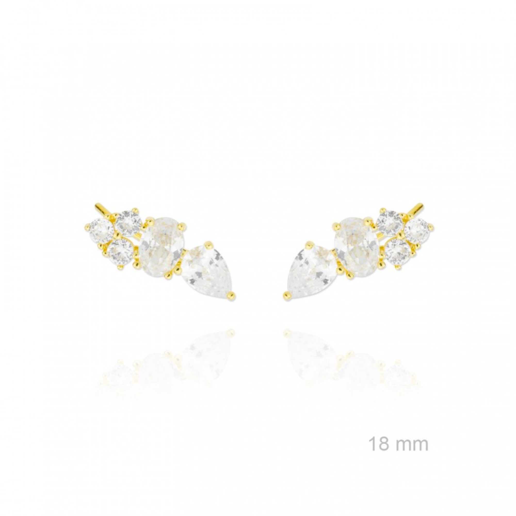 Σκουλαρίκια climbers με πέτρες ζιργκόν