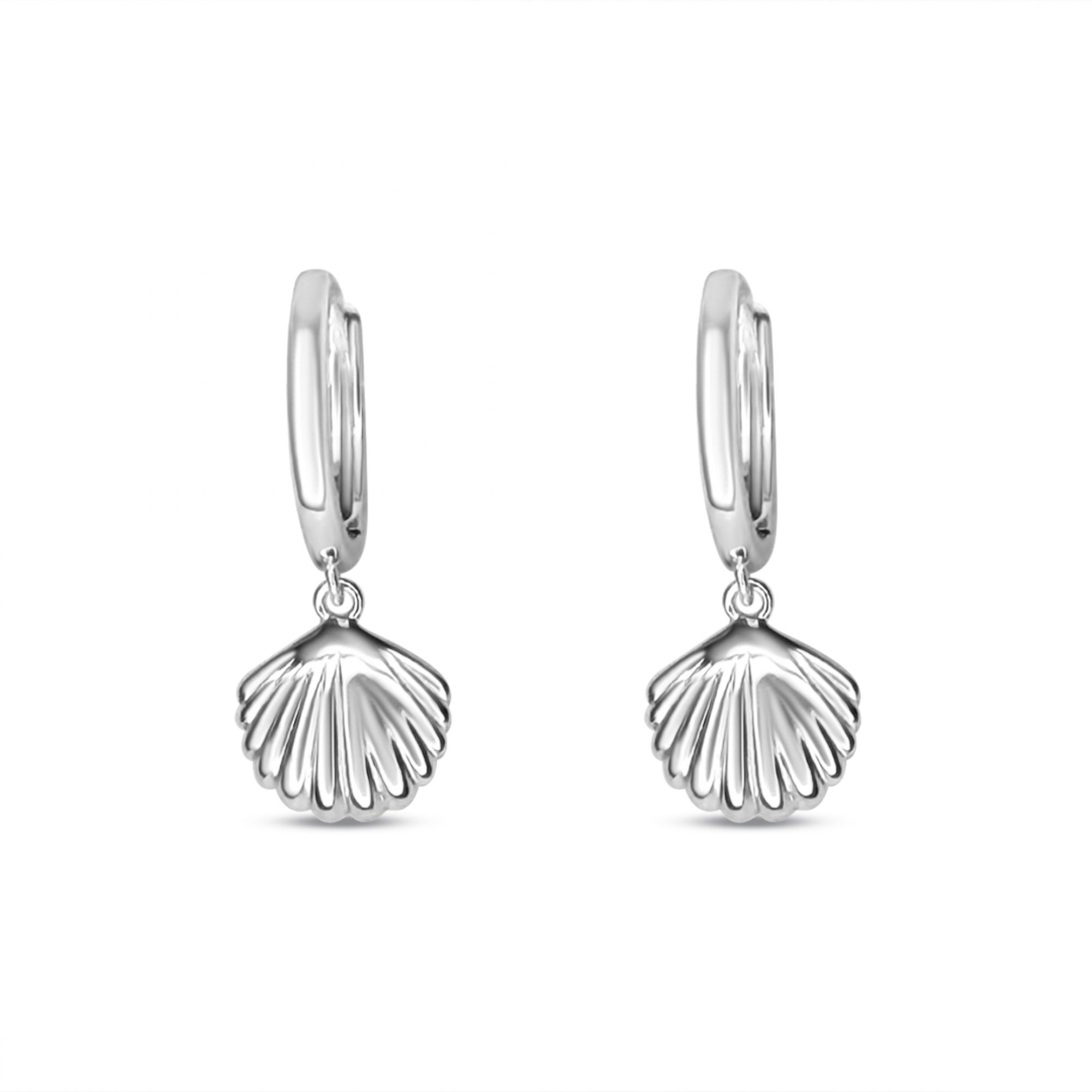 Seashell silver earrings
