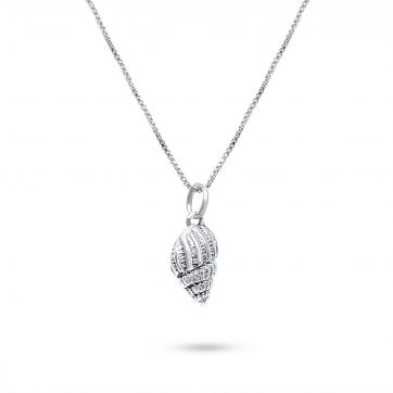 petsios Seashell necklace