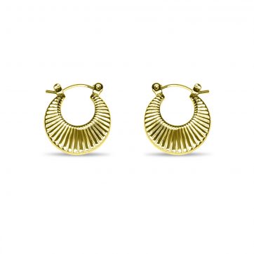 petsios Gold plated steel hoops