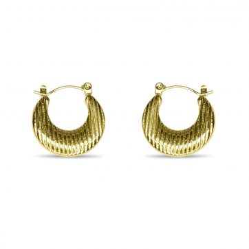 petsios Gold plated steel hoops
