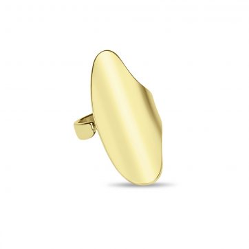 petsios Gold-Plated Stainless Steel Polished Ring