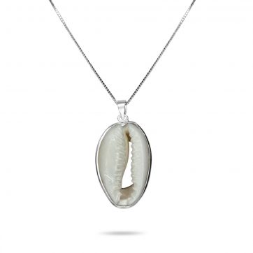 petsios Seashell necklace